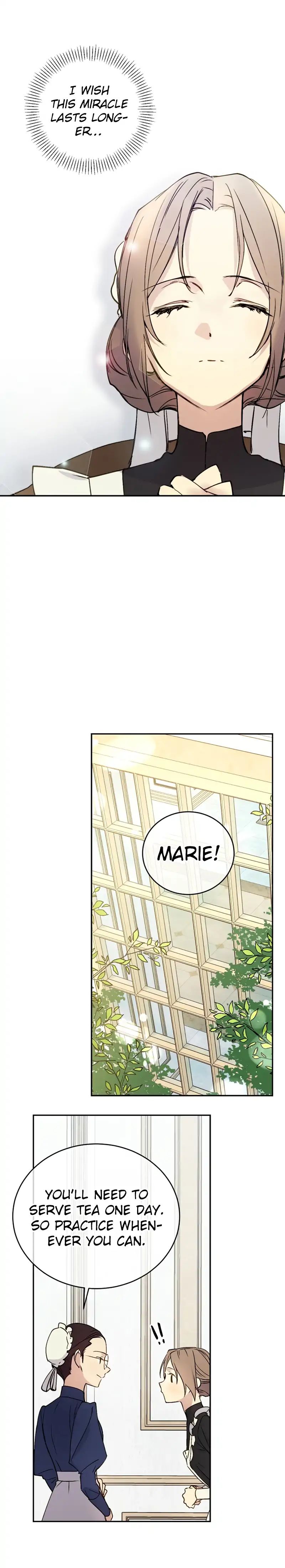 Read A Capable Maid Manga Online
