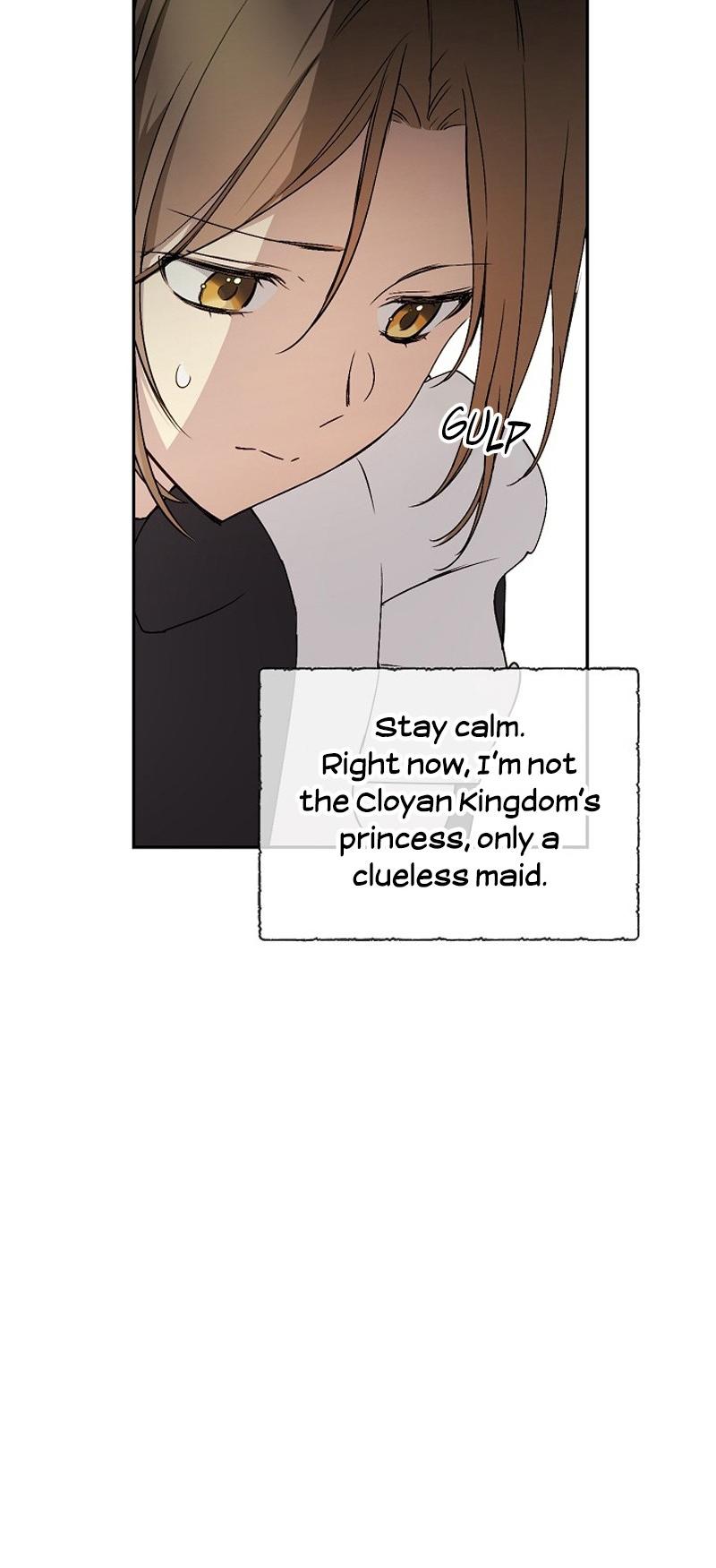 Read A Capable Maid Manga Online