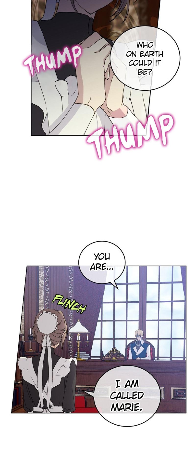 Read A Capable Maid Manga Online