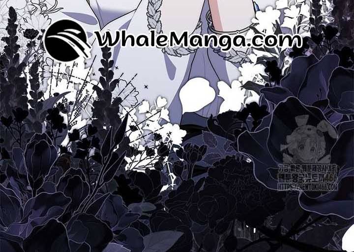 Read A Fortune-Telling Princess Manga Online