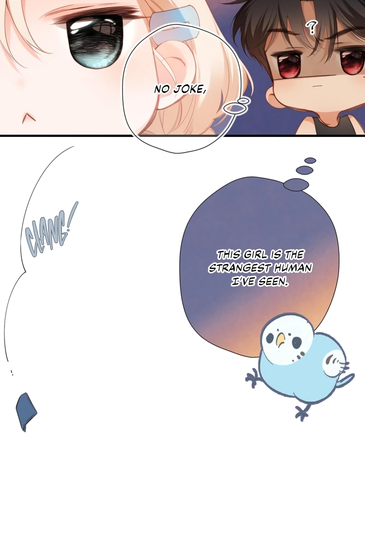 Read Back to Spring Manga Online