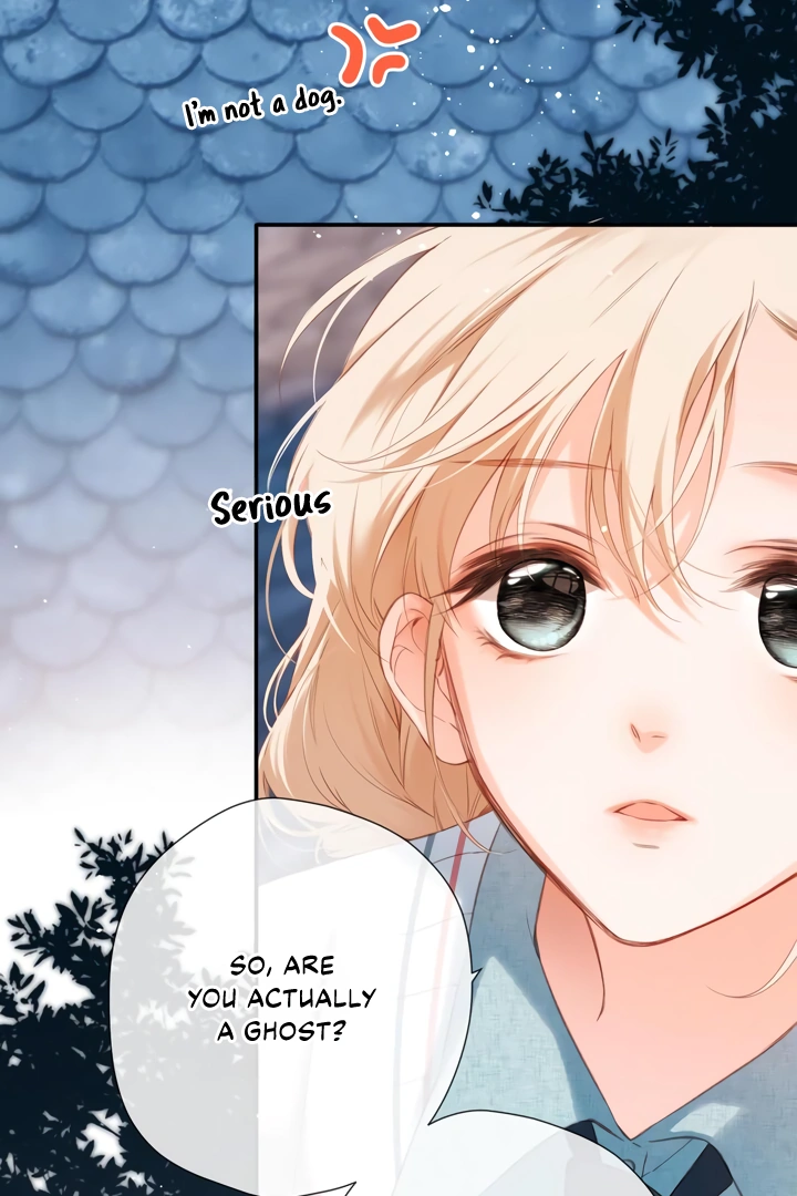 Read Back to Spring Manga Online