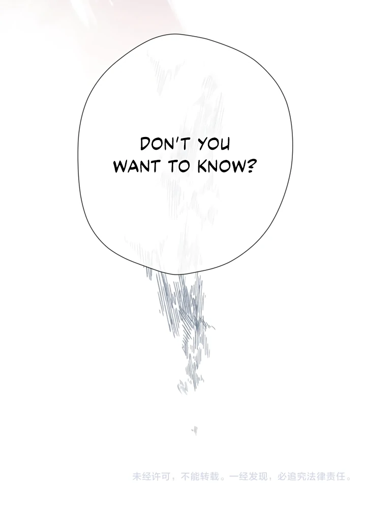 Read Back to Spring Manga Online