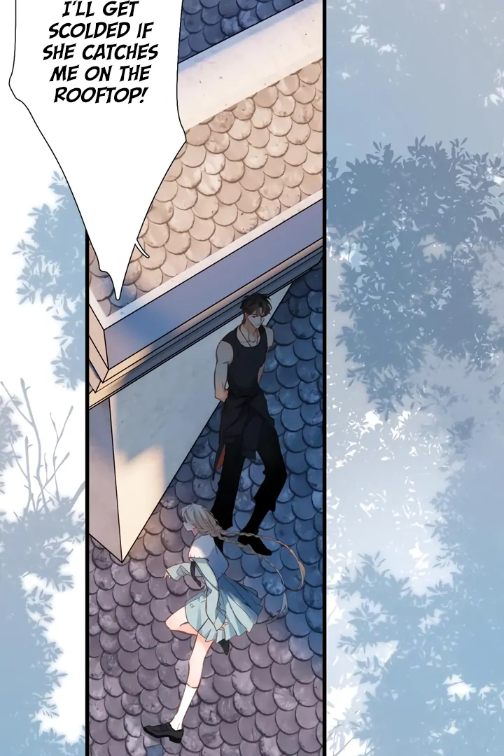 Read Back to Spring Manga Online
