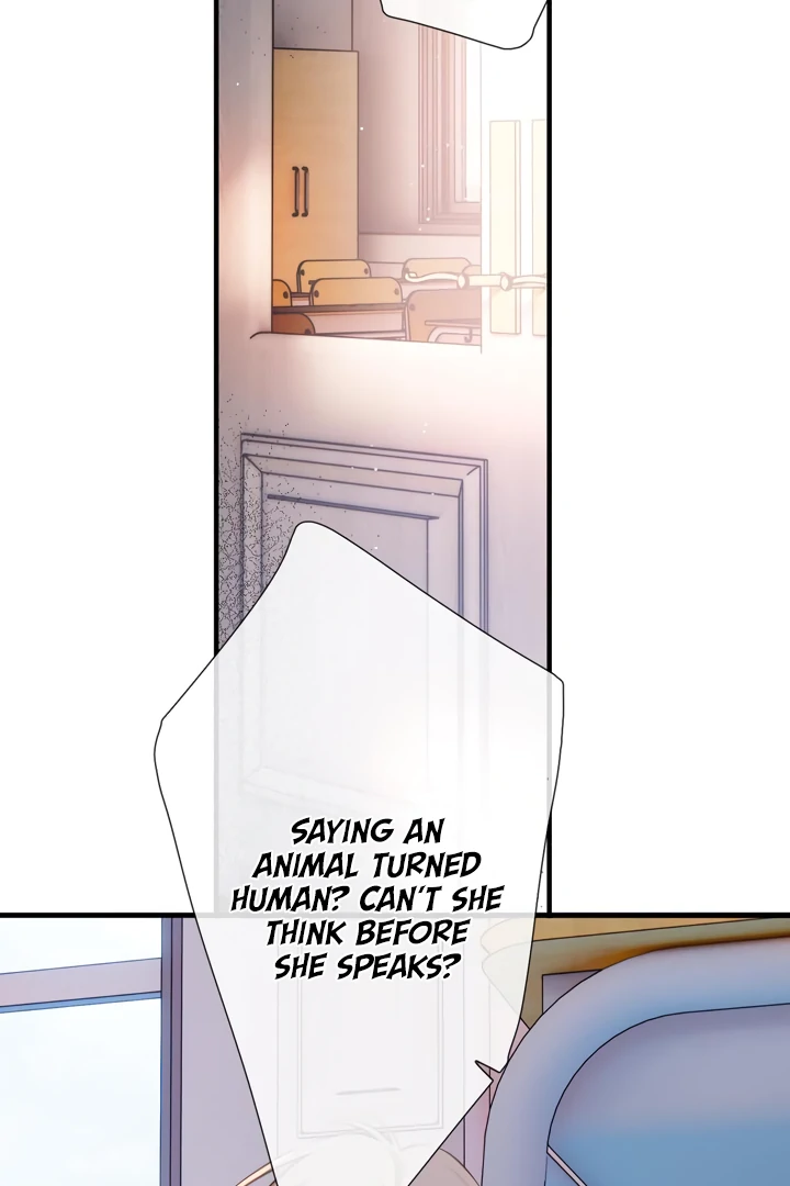 Read Back to Spring Manga Online