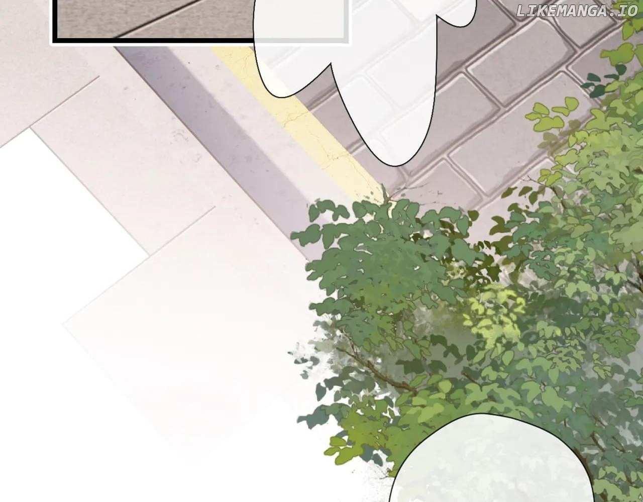 Read Back to Spring Manga Online
