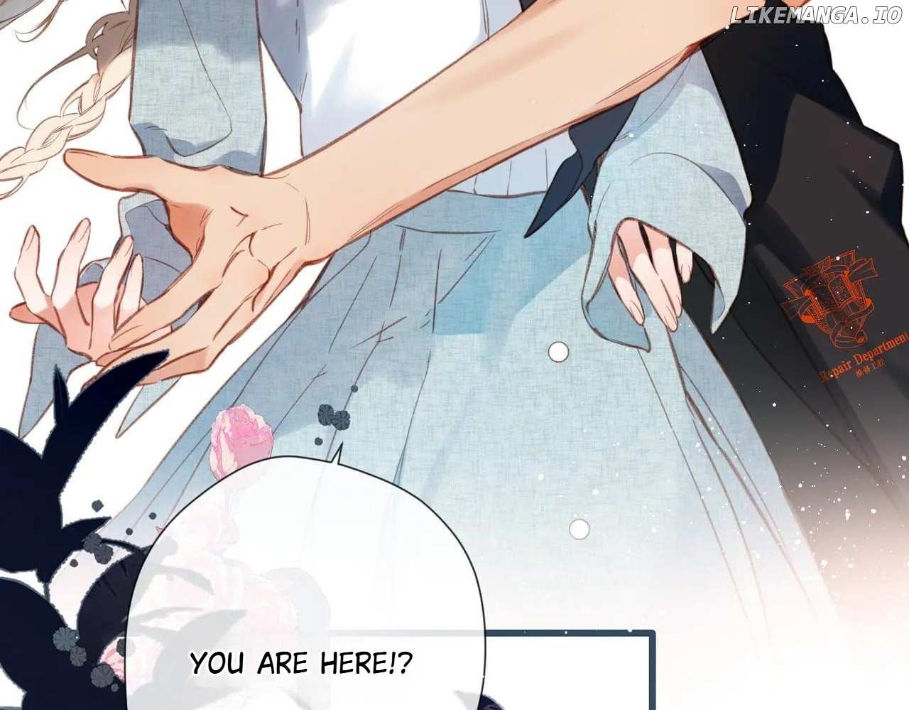 Read Back to Spring Manga Online