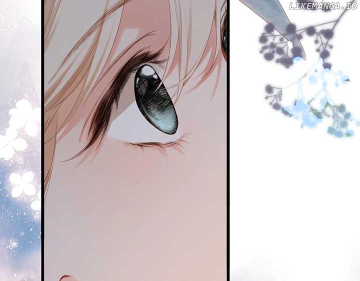 Read Back to Spring Manga Online