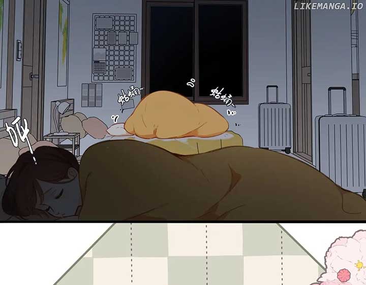 Read Back to Spring Manga Online