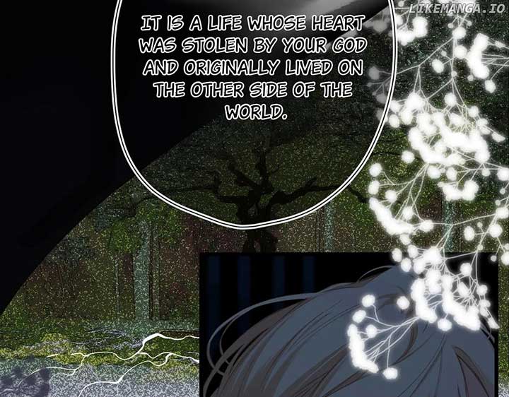 Read Back to Spring Manga Online
