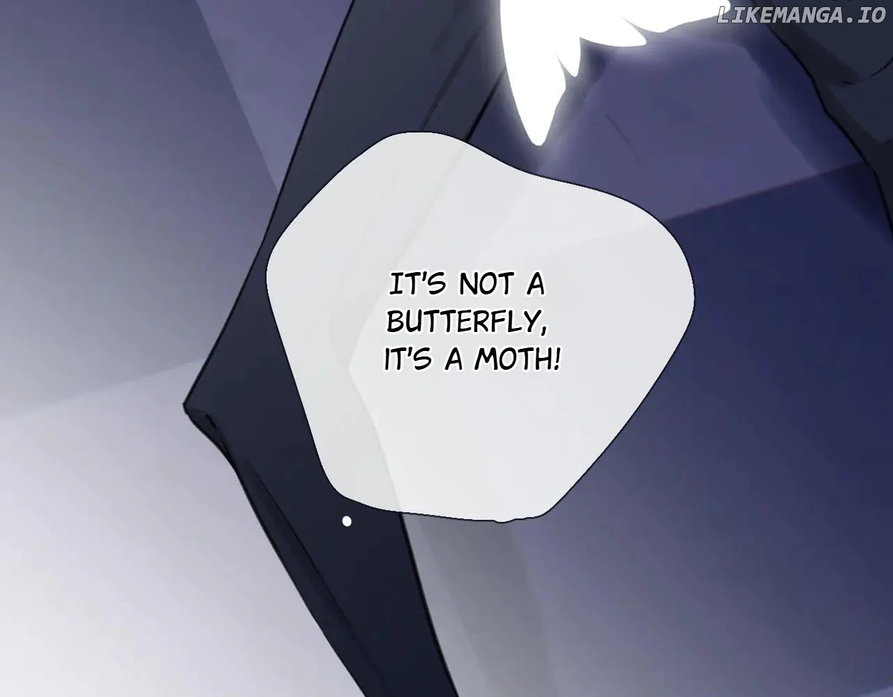 Read Back to Spring Manga Online