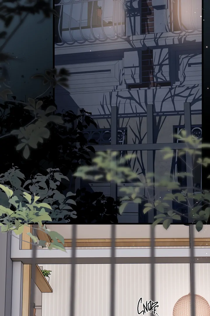 Read Back to Spring Manga Online