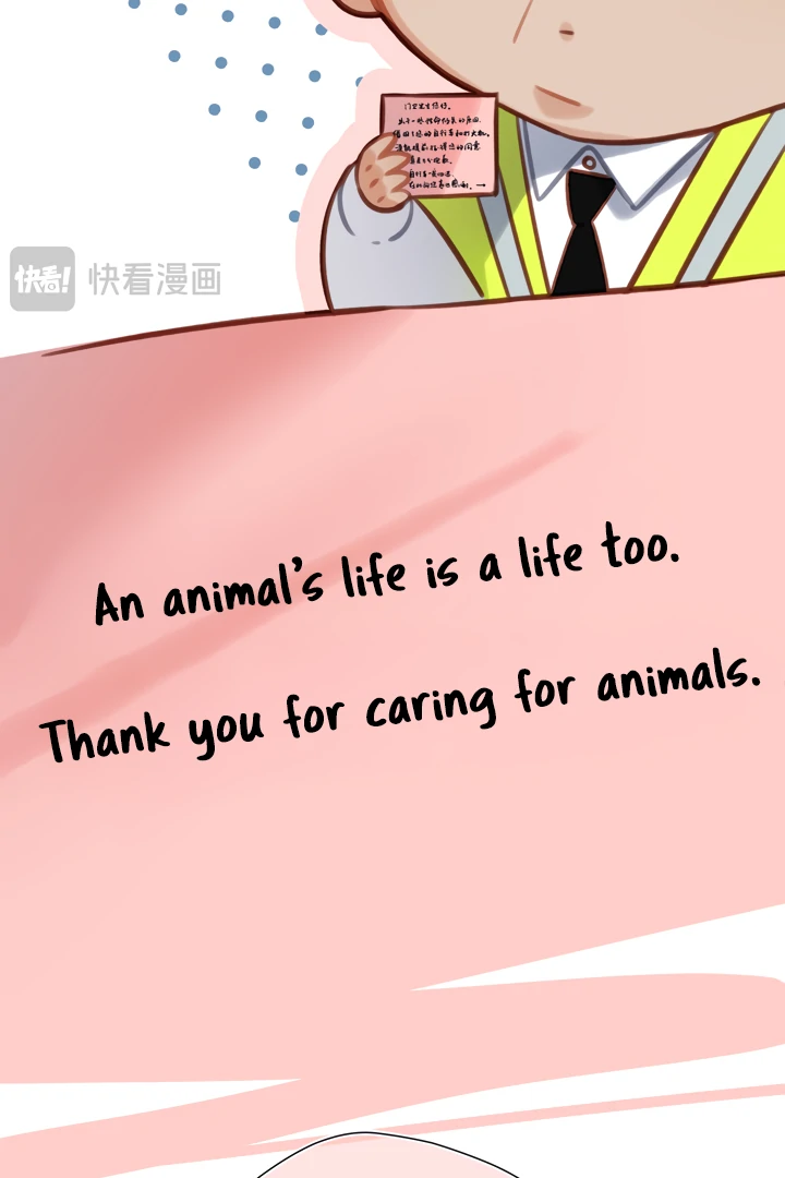 Read Back to Spring Manga Online