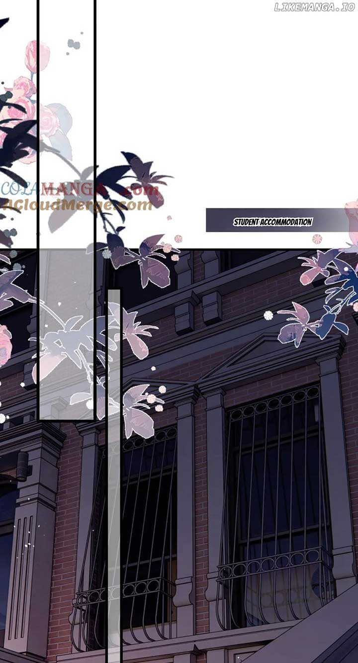 Read Back to Spring Manga Online