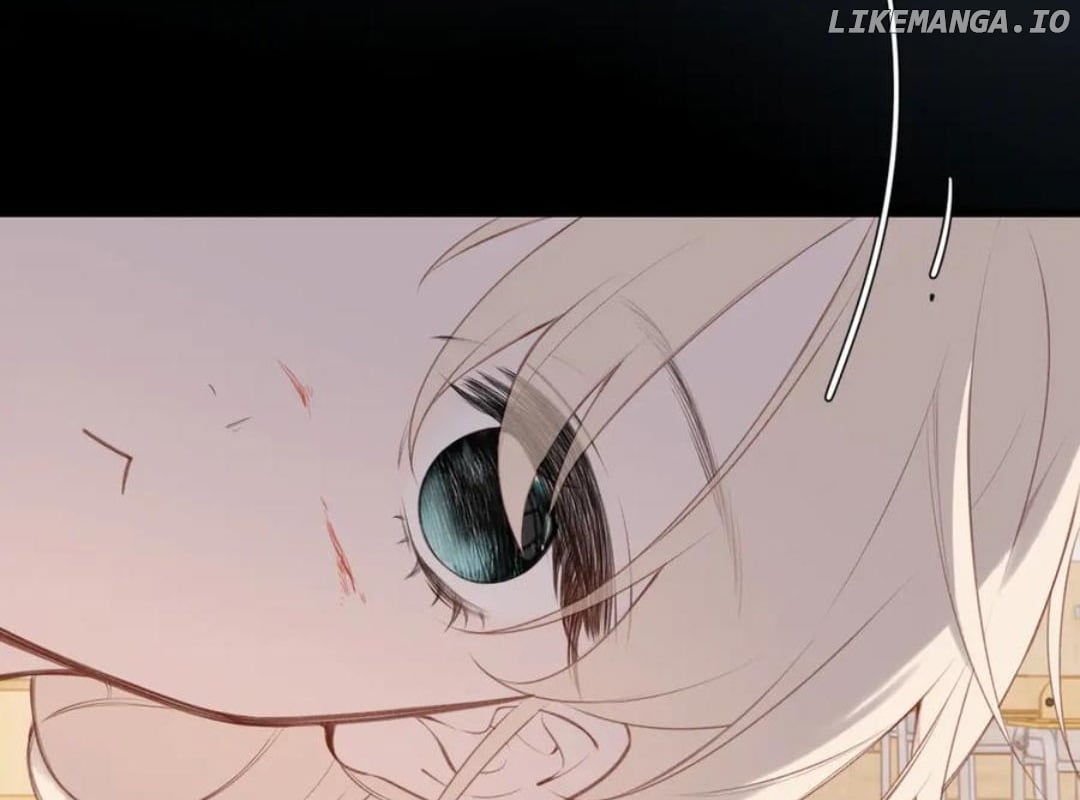 Read Back to Spring Manga Online