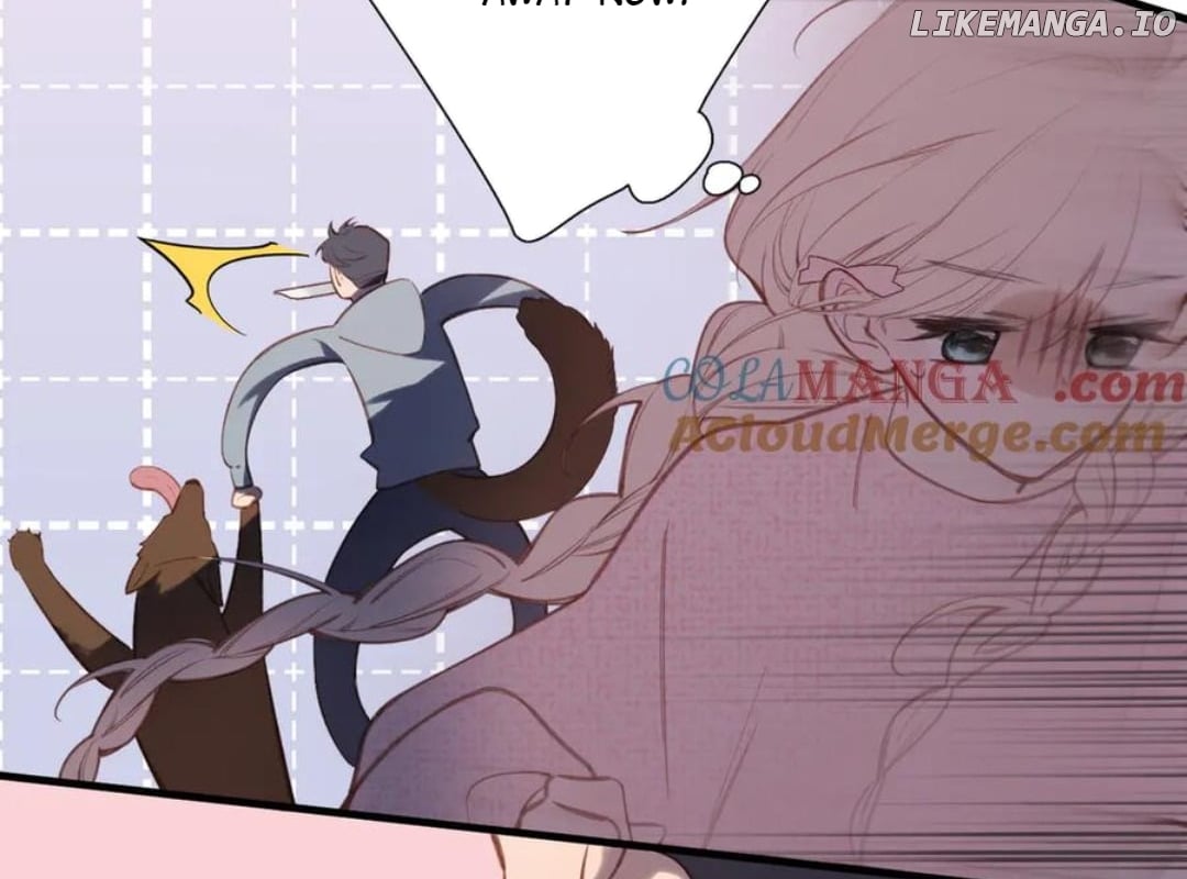 Read Back to Spring Manga Online