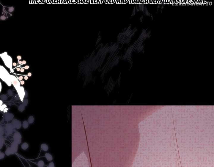 Read Back to Spring Manga Online