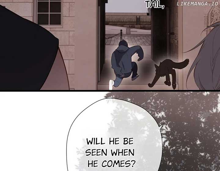 Read Back to Spring Manga Online