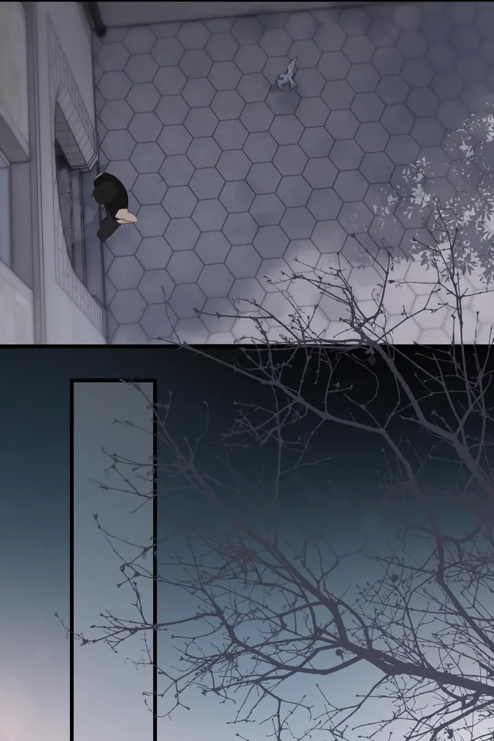 Read Back to Spring Manga Online