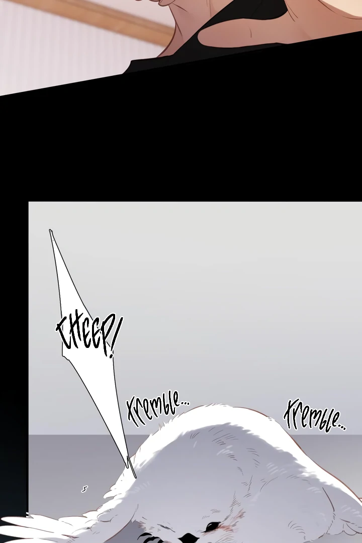 Read Back to Spring Manga Online