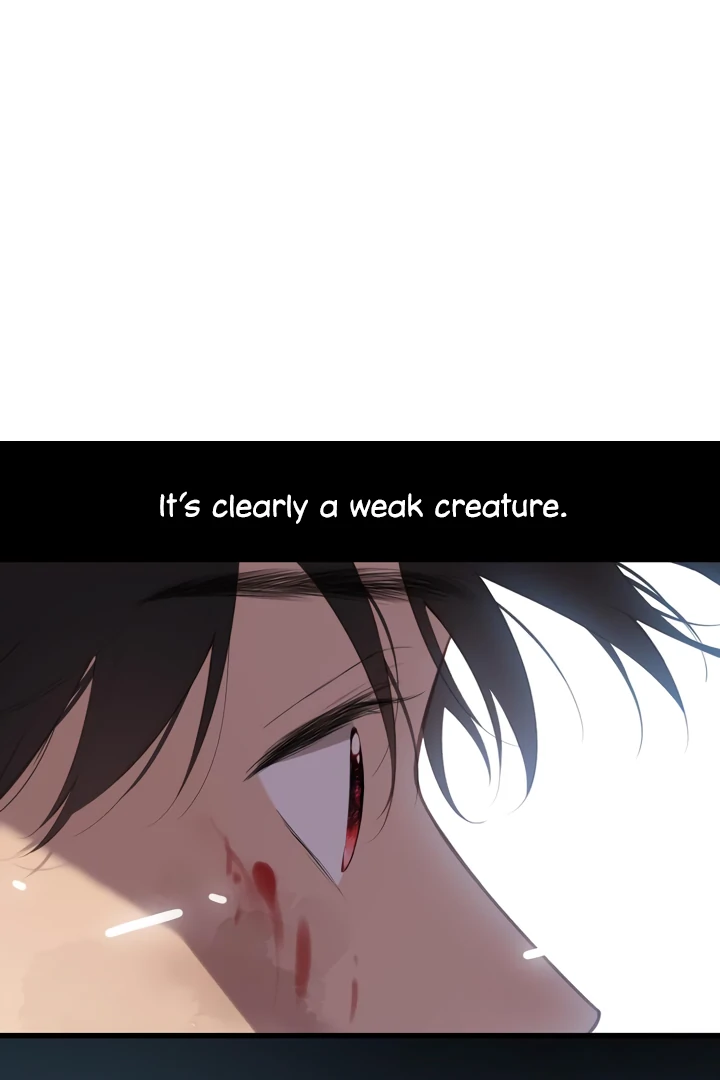 Read Back to Spring Manga Online