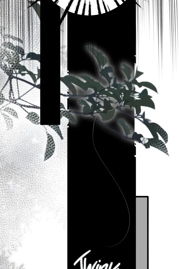 Read Back to Spring Manga Online