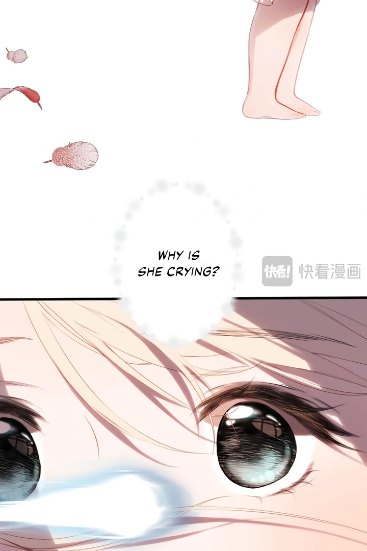 Read Back to Spring Manga Online