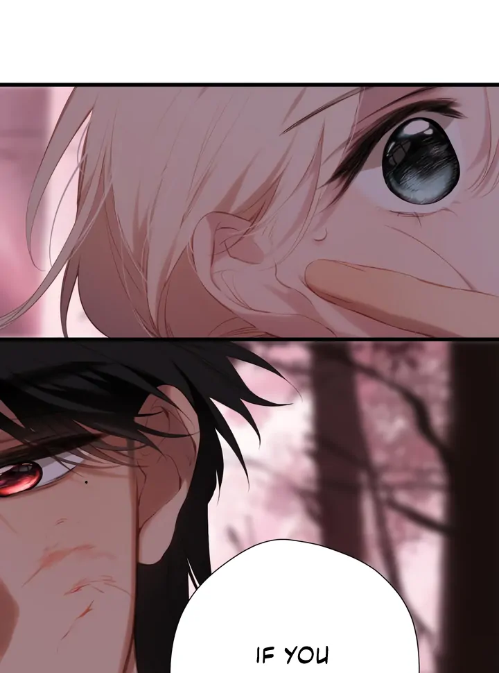 Read Back to Spring Manga Online