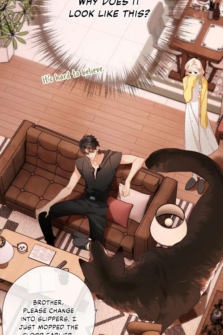 Read Back to Spring Manga Online
