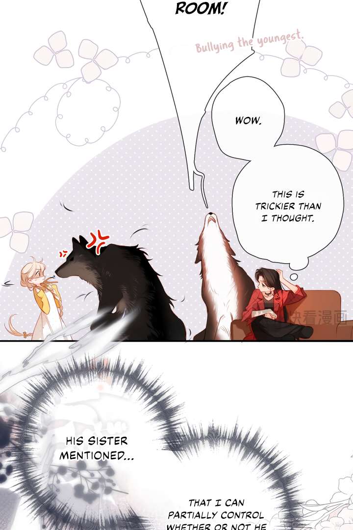 Read Back to Spring Manga Online