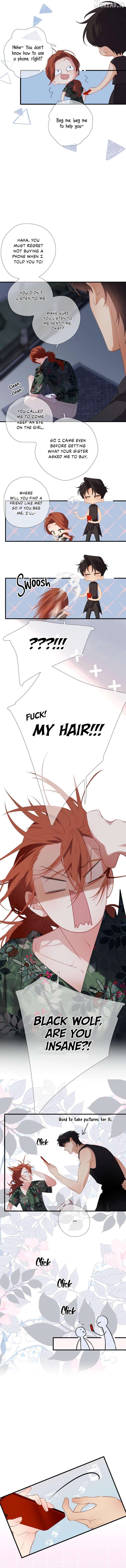 Read Back to Spring Manga Online