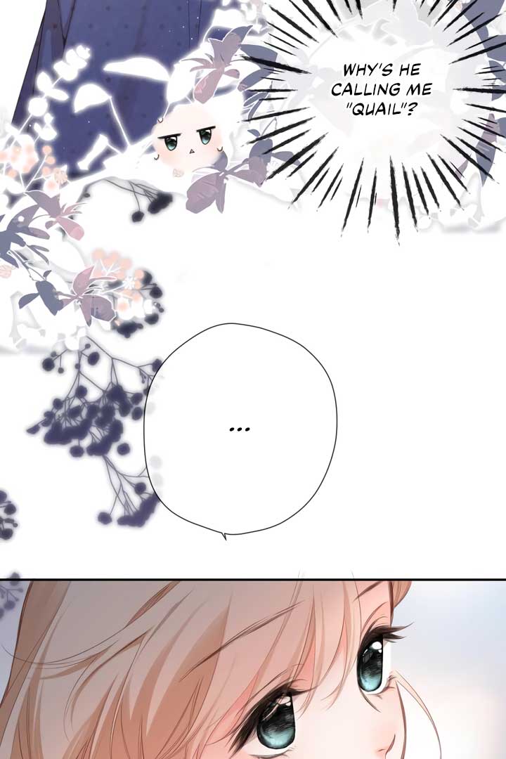Read Back to Spring Manga Online