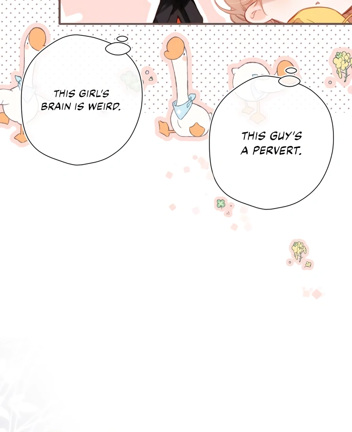 Read Back to Spring Manga Online