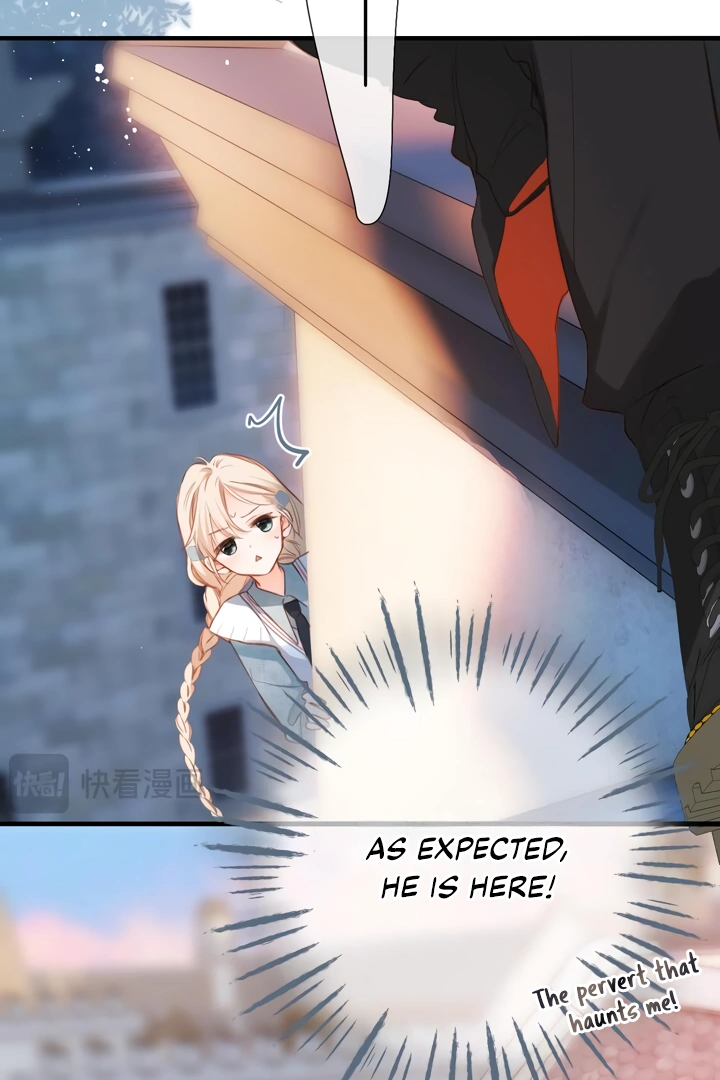 Read Back to Spring Manga Online