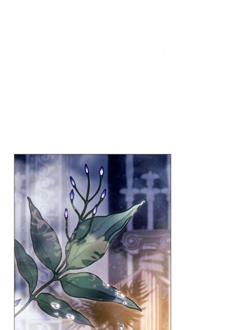 Read Black Chain Manga Online