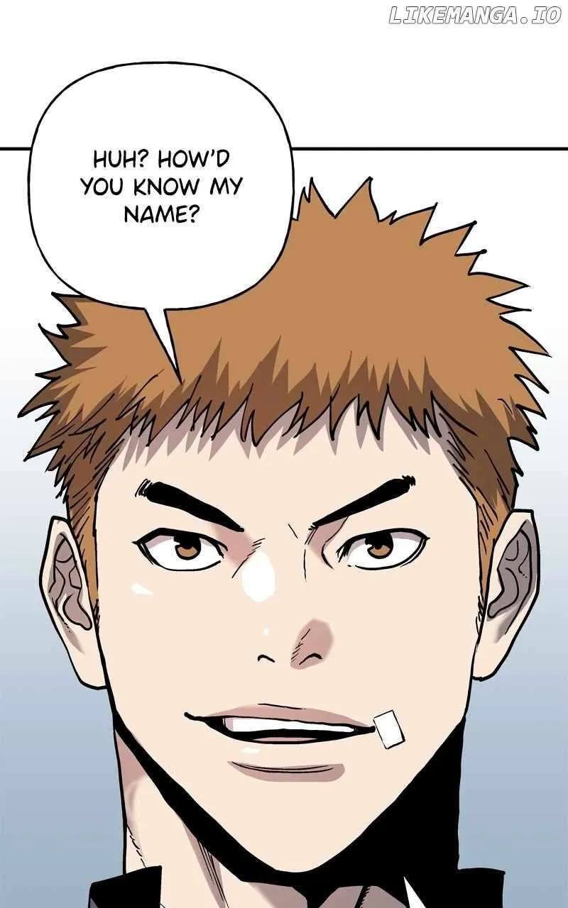 Read Boss Returns Manga Online
