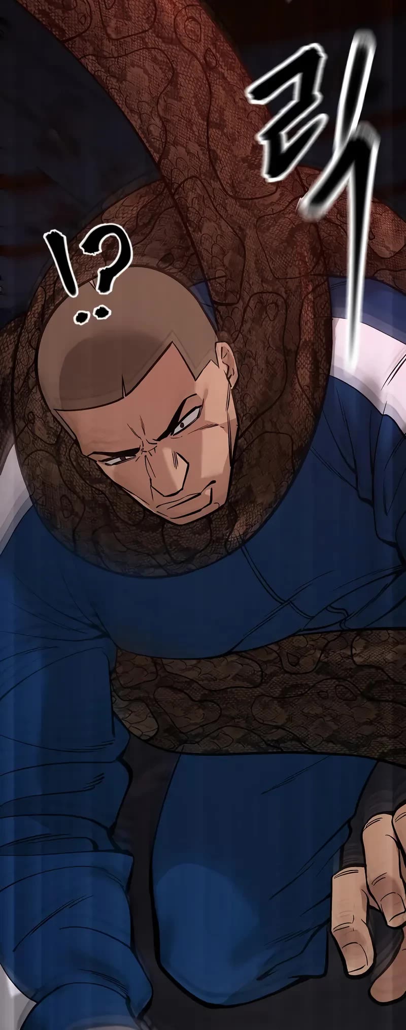 Read Designated Bully Manga Online