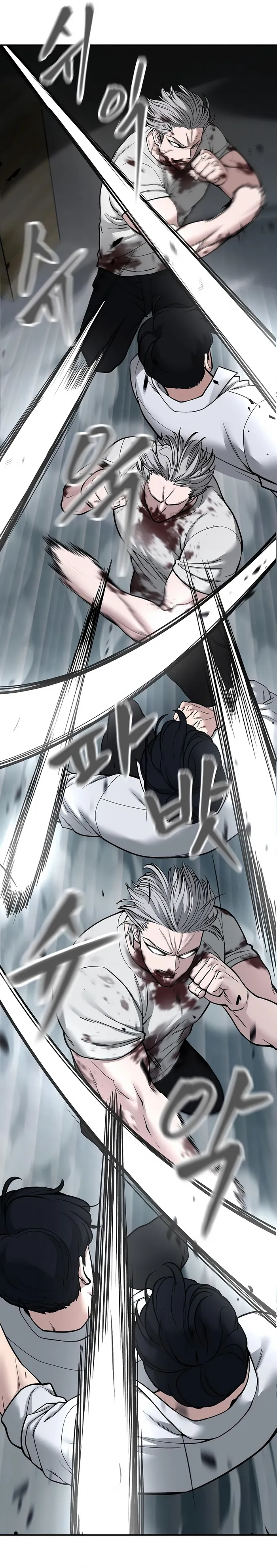 Read Designated Bully Manga Online