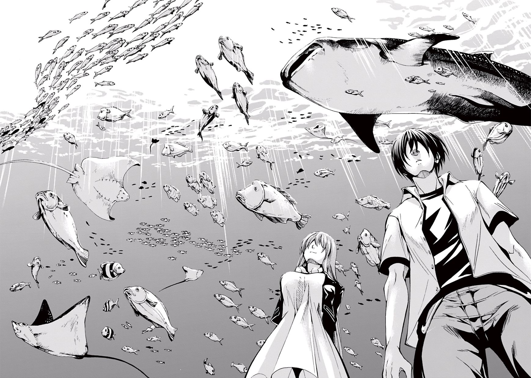 Read Grand Blue Manga Online