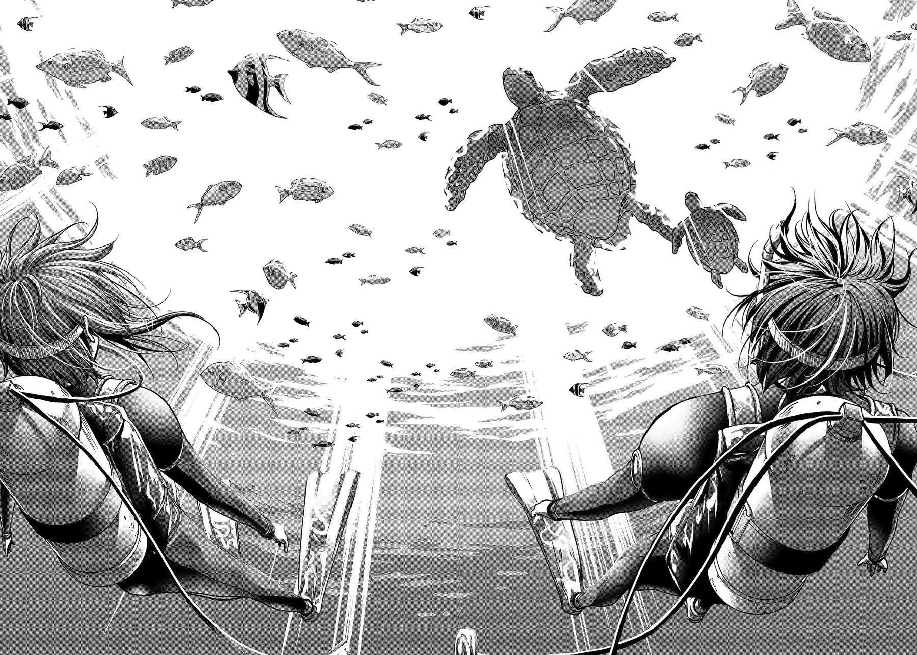 Read Grand Blue Manga Online