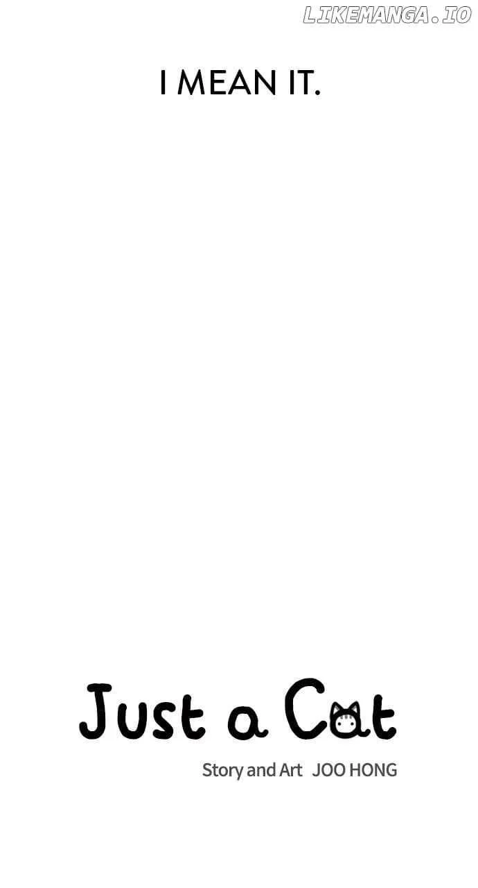 Read Just a Cat Manga Online