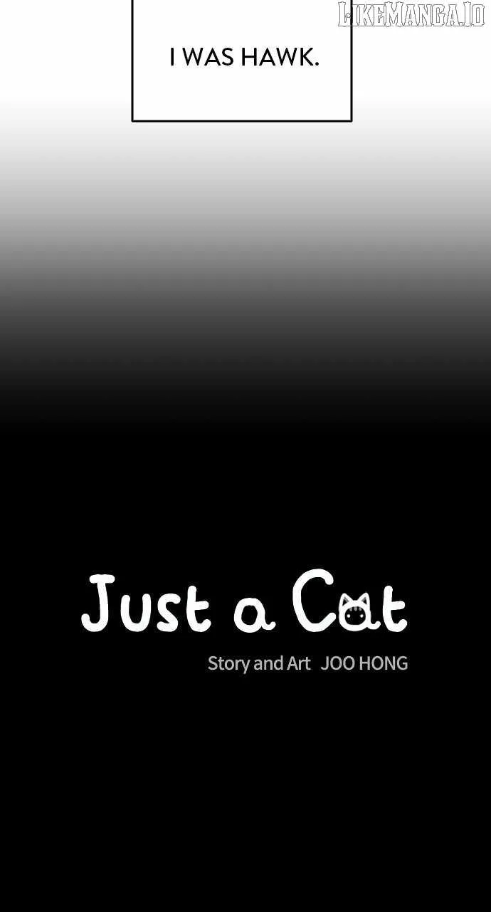 Read Just a Cat Manga Online