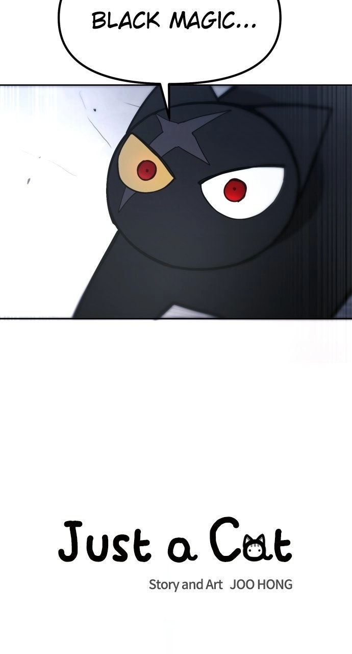 Read Just a Cat Manga Online