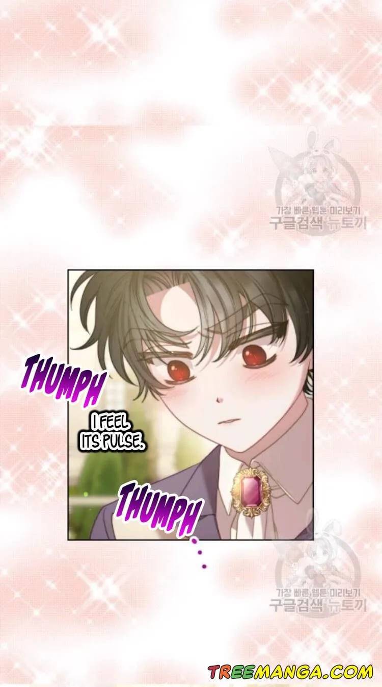 Read Lucia Manga Online