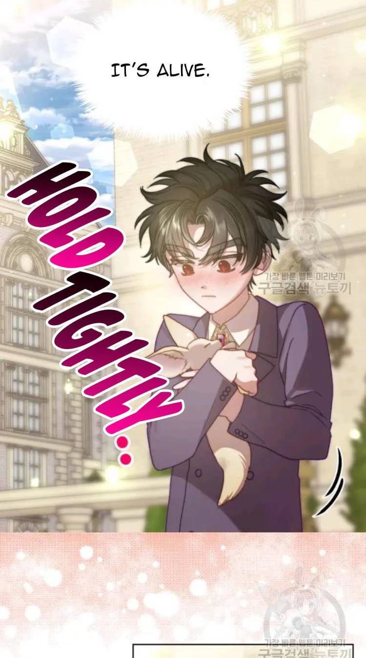 Read Lucia Manga Online