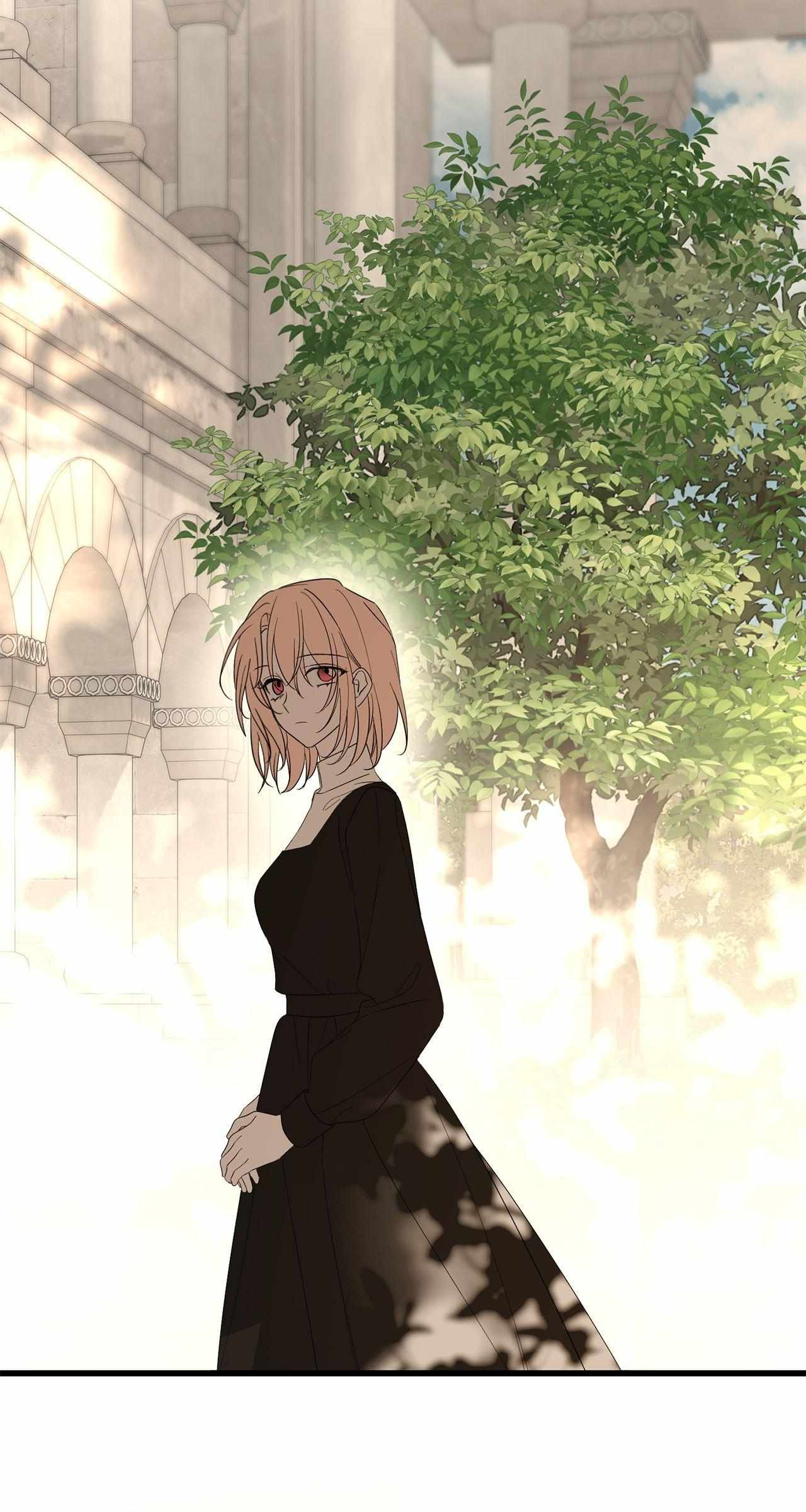 Read My Husband Who Hates Me Has Lost His Memories Manga Online