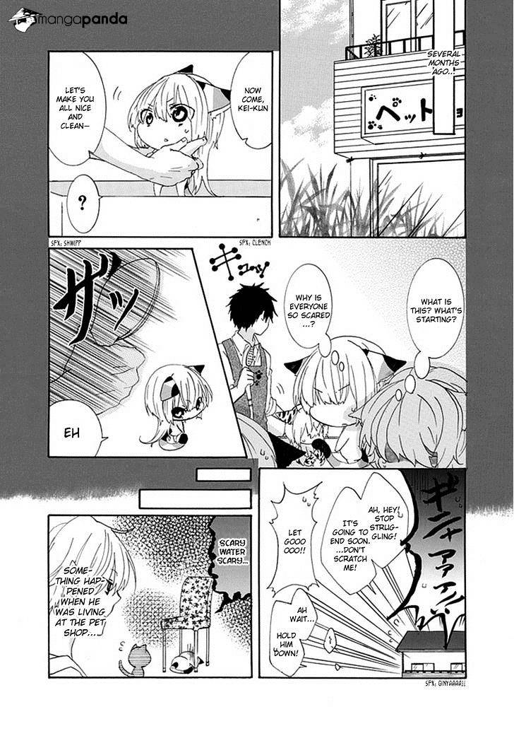Read Nukoduke! Manga Online