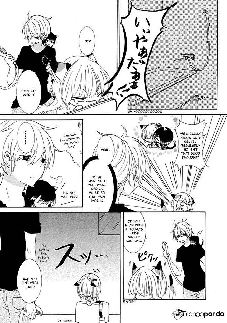 Read Nukoduke! Manga Online