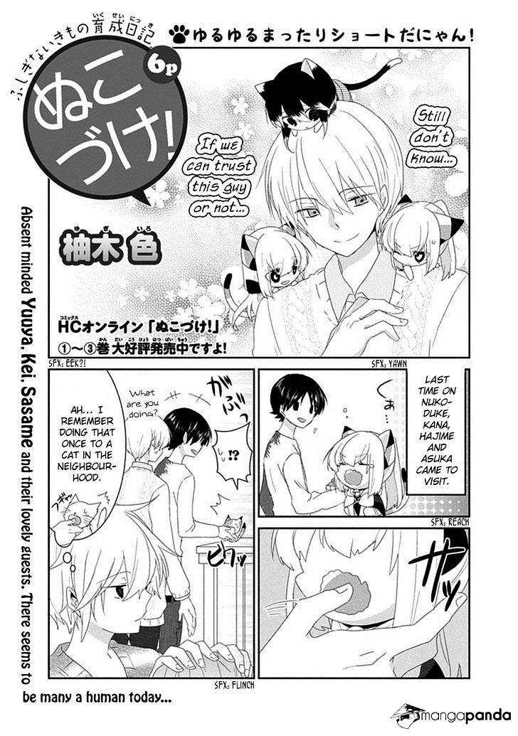 Read Nukoduke! Manga Online
