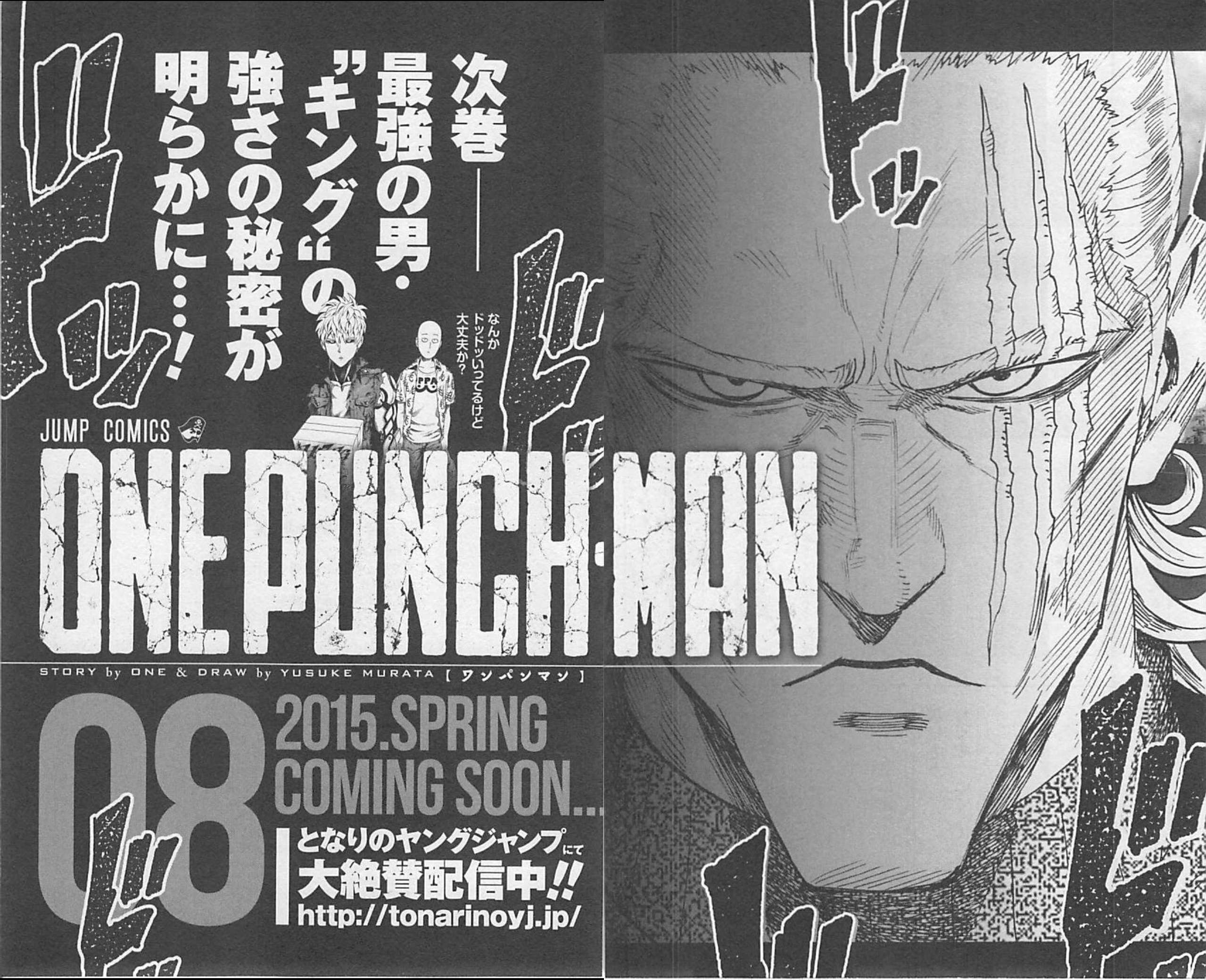 Read One Punch Man Manga Online